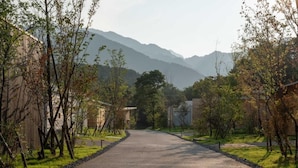 Un camino pavimentado bordeado por árboles y edificios, que se dirige hacia montañas distantes.