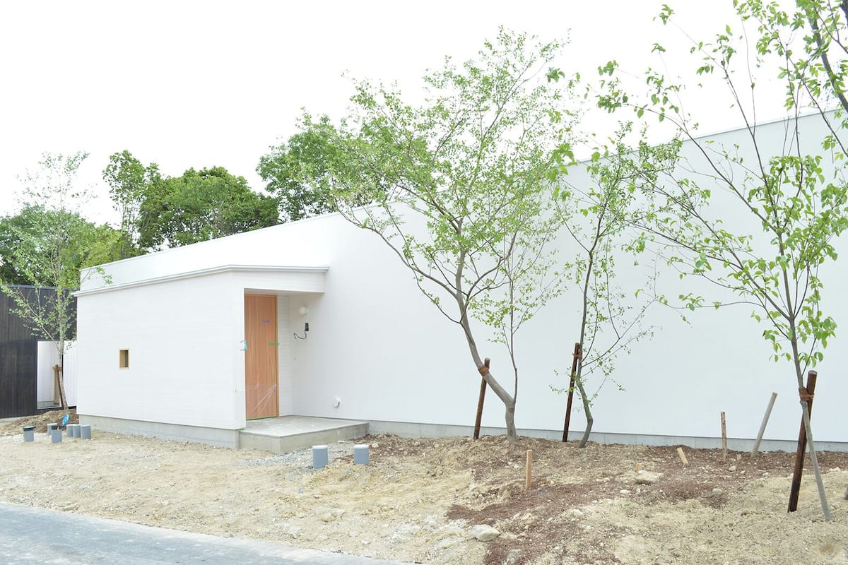 A modern white building with a wooden door, surrounded by young trees and a dirt ground.