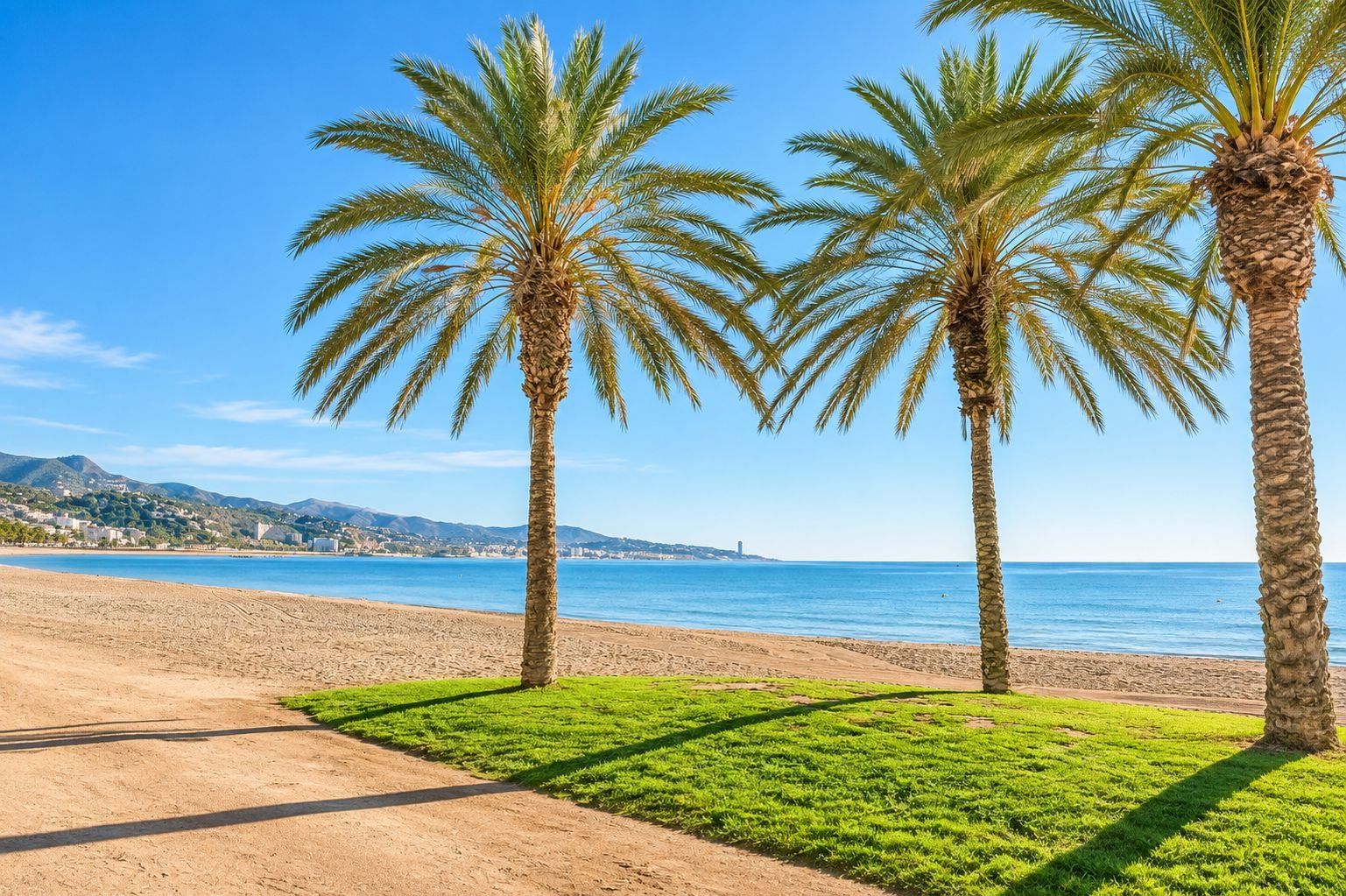 Une plage bordée de palmiers, offrant une vue dégagée sur la mer.