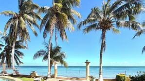 Un jardín tropical con palmeras, una piscina y vista al océano.