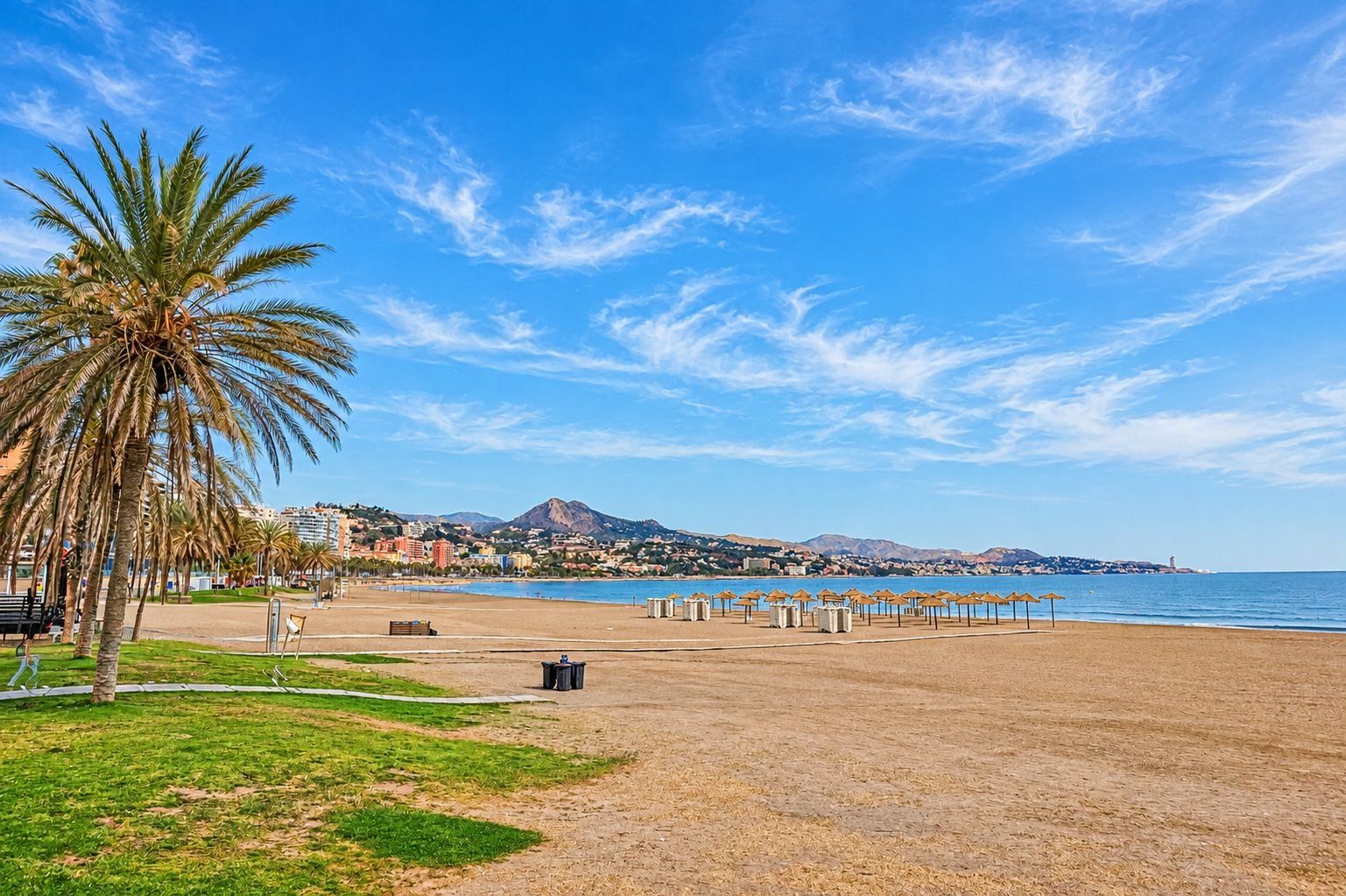 A beach with a palm tree, a clear sky, and a distant mountain range.