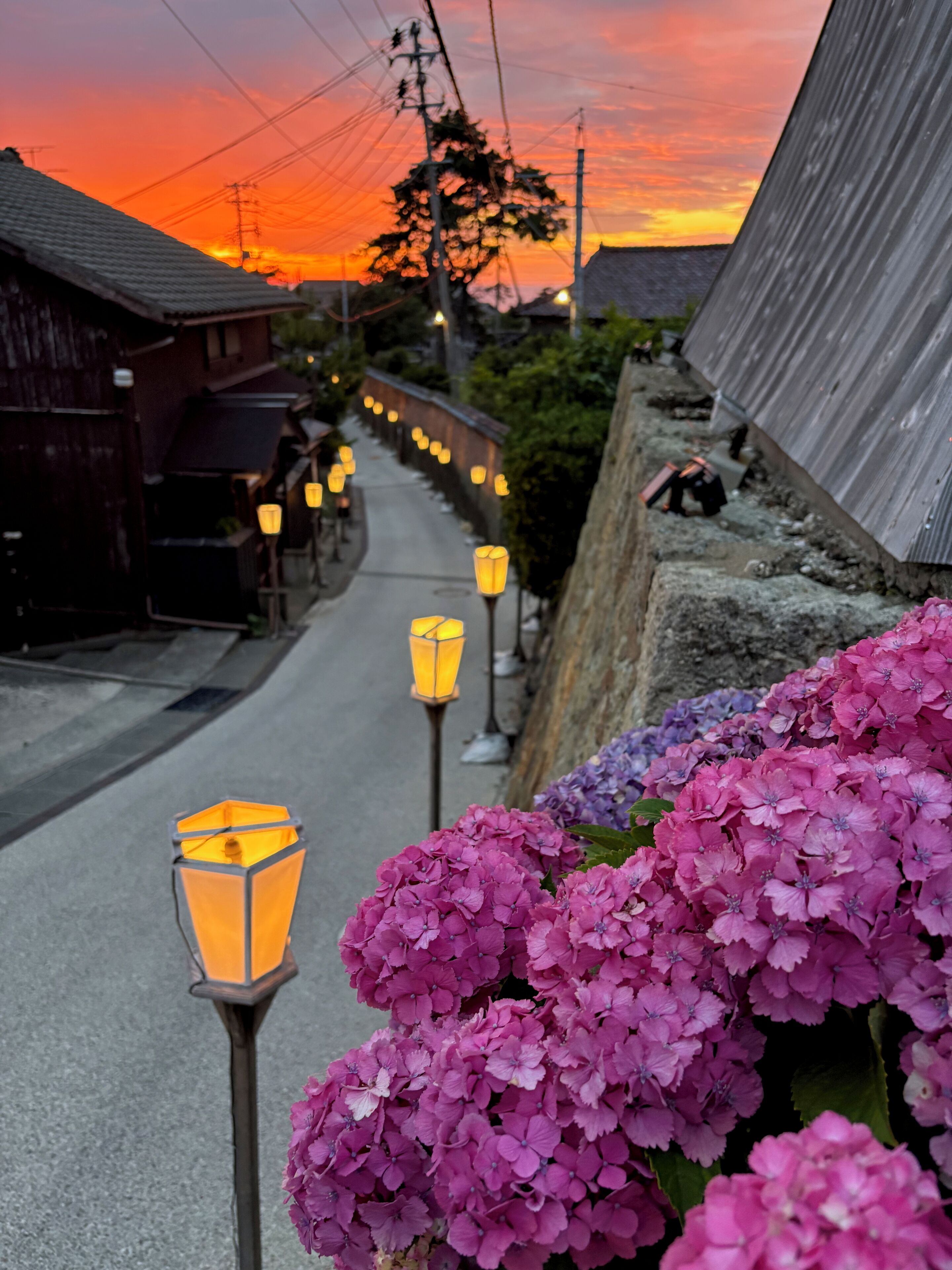 Eine Straße bei Sonnenuntergang mit Laternen und Blumen.