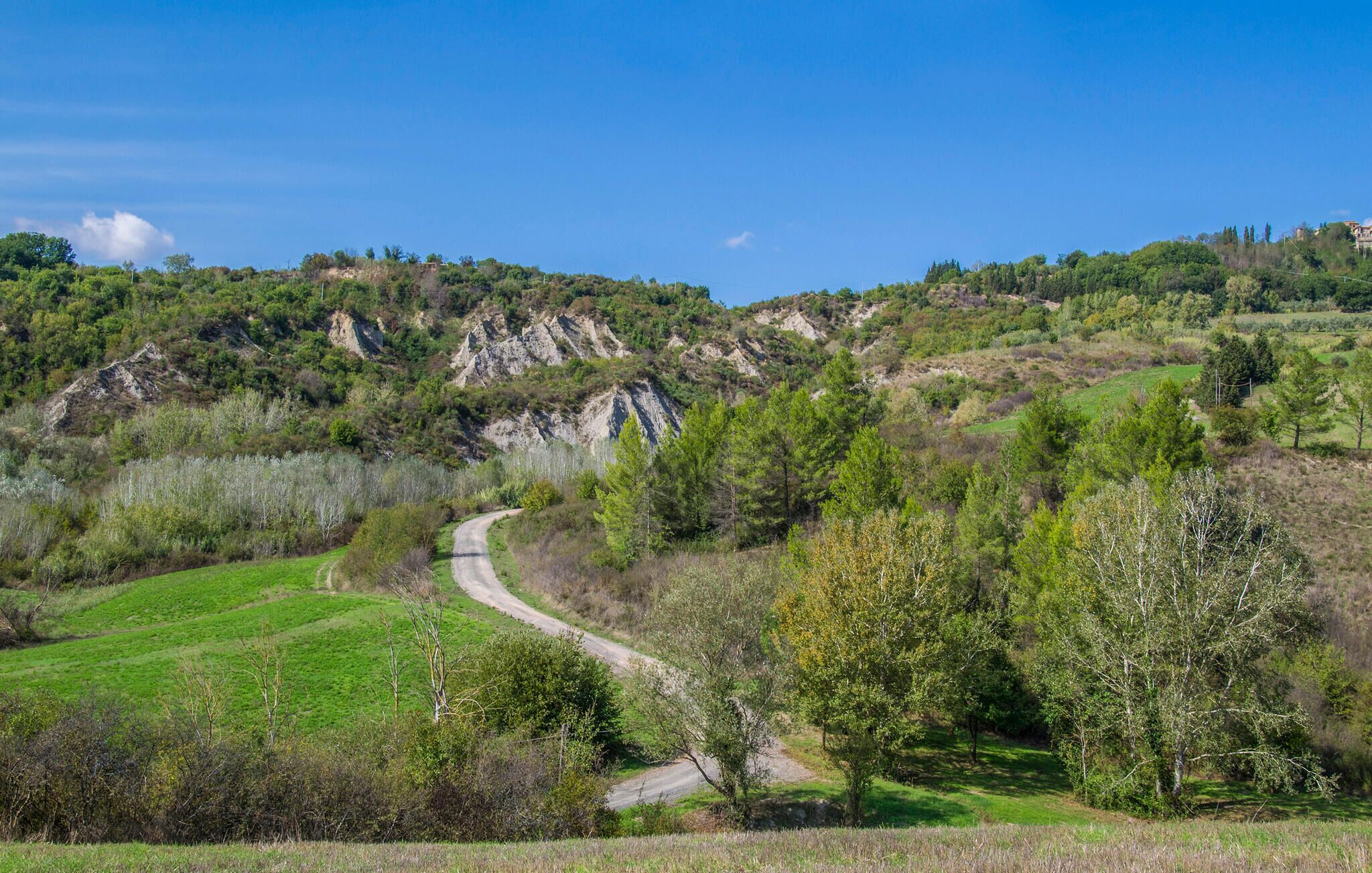 Un camí sinuós a través d'un paisatge amb muntanyes, camps verds i arbres.