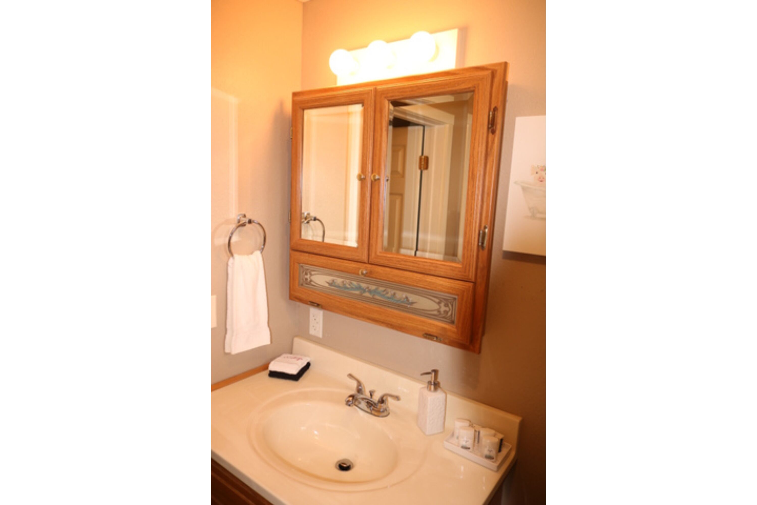 Hair dryer, towels, soap, toilet paper