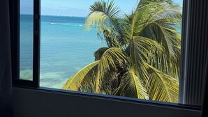 Ein Fenster mit Blick auf den Ozean und Palmen.