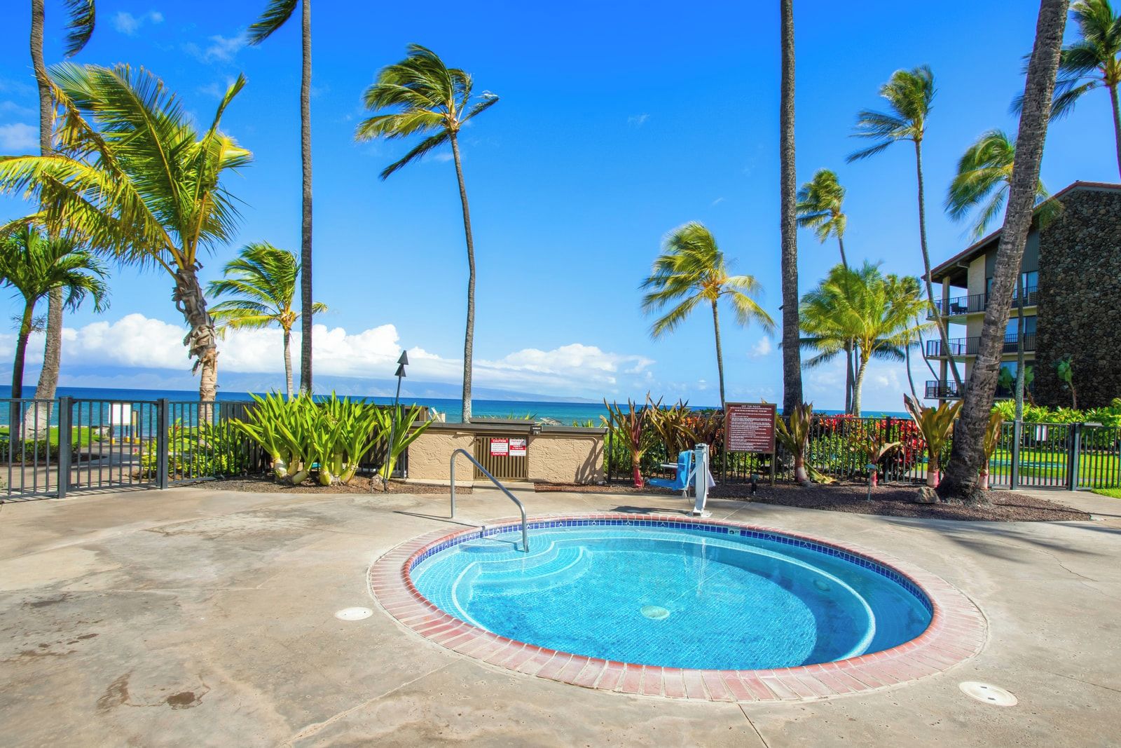 A swimming pool with a view of the ocean, surrounded by palm trees and a building with balconies.