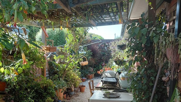 A garden patio area with potted plants, a table, and a grill. - Close to beaches, shops with Mikbar 50m towards Springs Beach (Point Lonsdale)