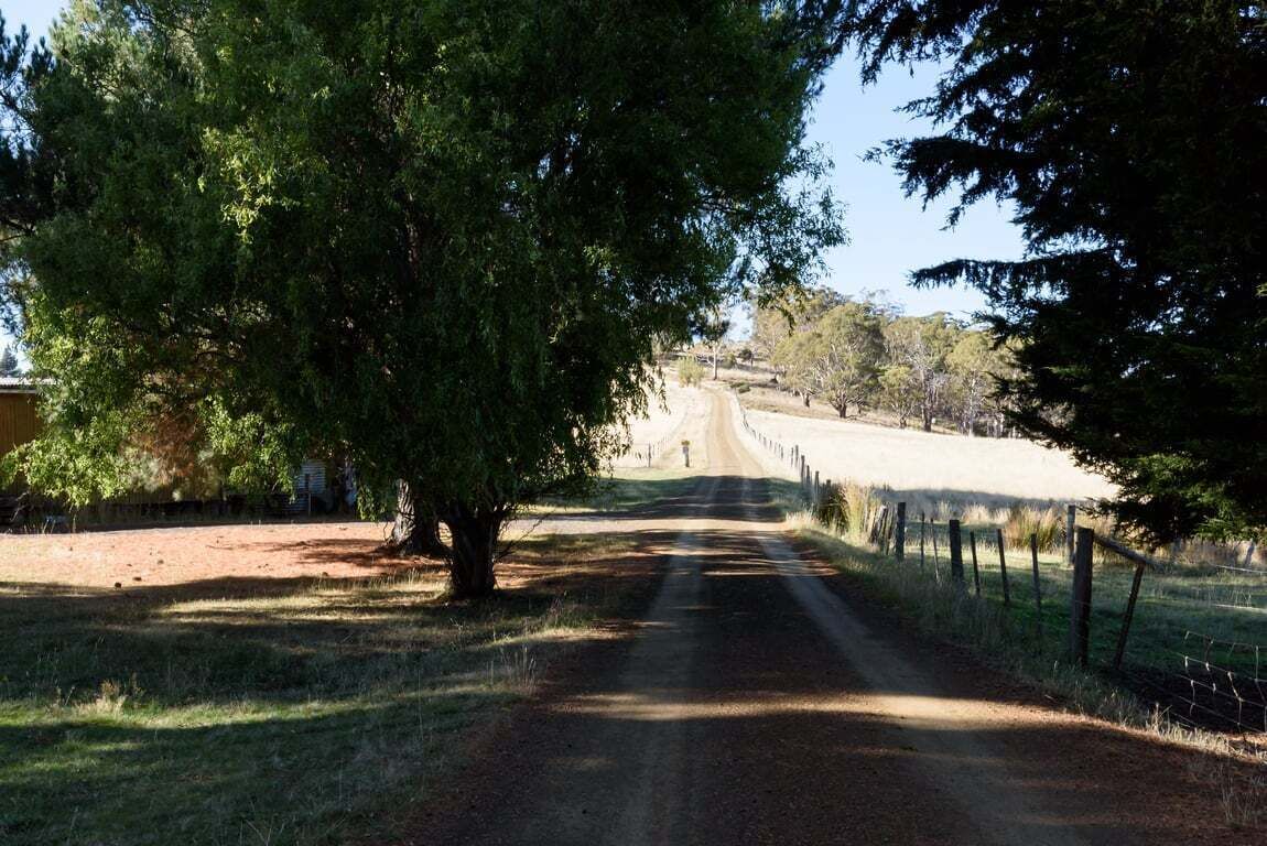 Een landweg langs bomen en een hek, leidend naar een afgelegen bezit.