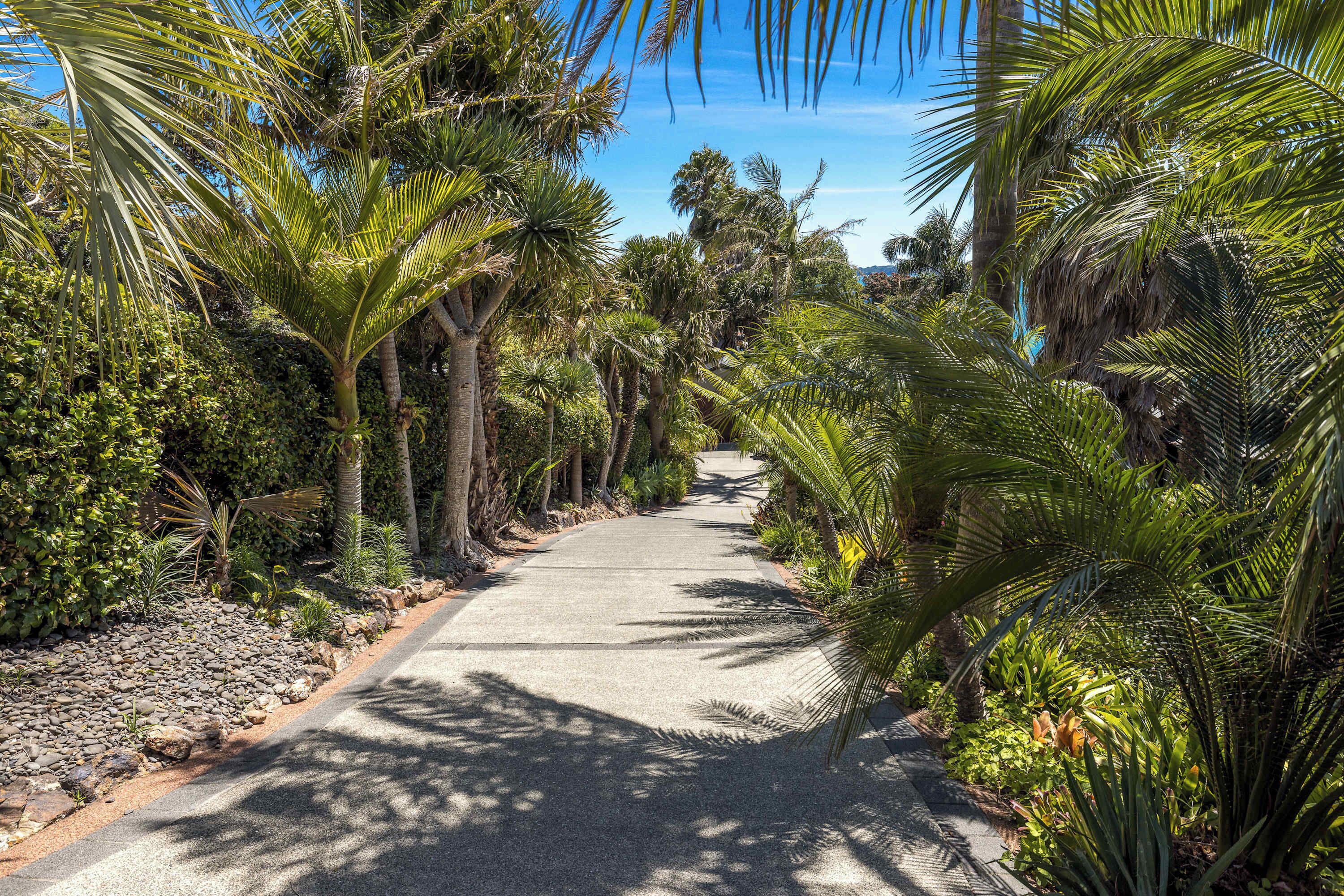 A paved pathway flanked by lush tropical vegetation, including palm trees and various shrubs.