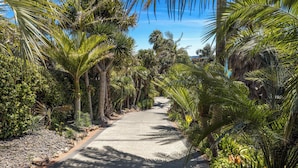 A paved pathway flanked by lush tropical vegetation, including palm trees and various shrubs. - Palms on Kennedy Point (Waiheke Island)