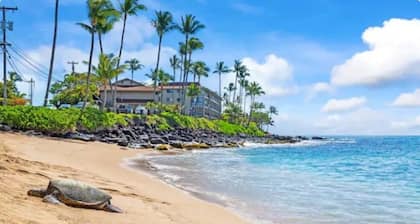Top-Floor Ocean View Condo in West Maui