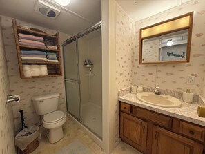 Bathroom - 3-bedroom house in beautiful Bradenton with cool AC breeze (Bradenton)