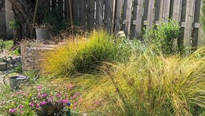 A garden with various plants and a wooden fence. - Les Fleurs De Lys, Suites&Appart , Entrée et Terrasse Privée Proche de la Mer (Saint-Georges-d'Oléron)