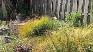 Suite Junior, vue jardin | Enceinte de lâhĂ©bergement