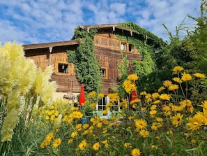 A wooden building with ivy, surrounded by yellow flowers.