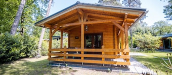 Forest Villa in Markelo With Sunny Garden