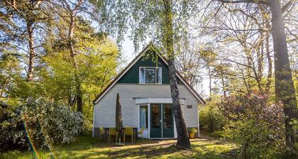 Forest Villa in Markelo With Sunny Garden