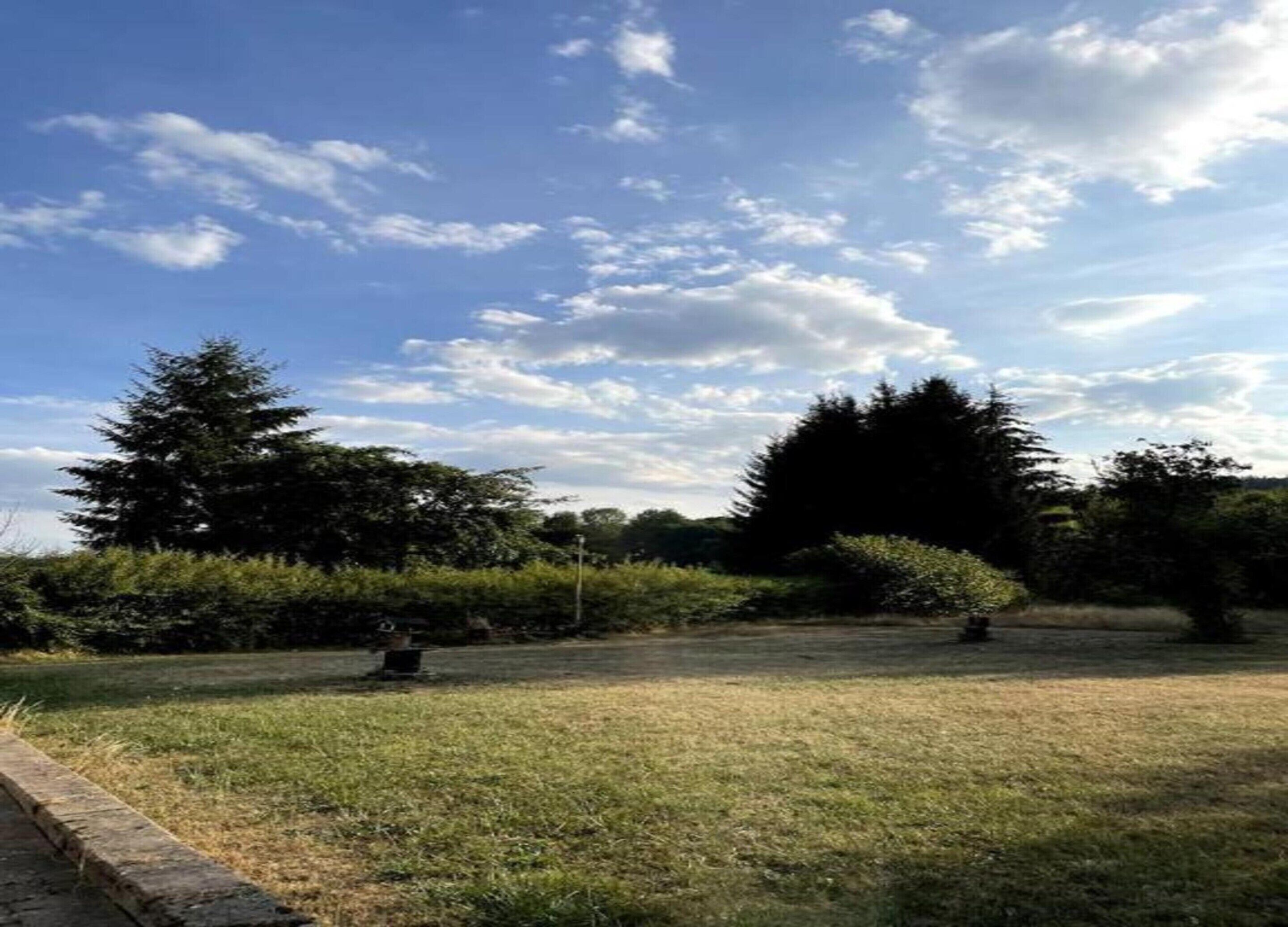 Un espace extérieur verdoyant, avec des arbres et un ciel dégagé.
