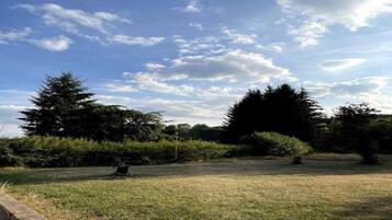 A grassy outdoor area with trees and a clear sky.