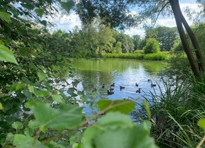 View from property - Family Comfort in Guntersberge (Harzgerode)