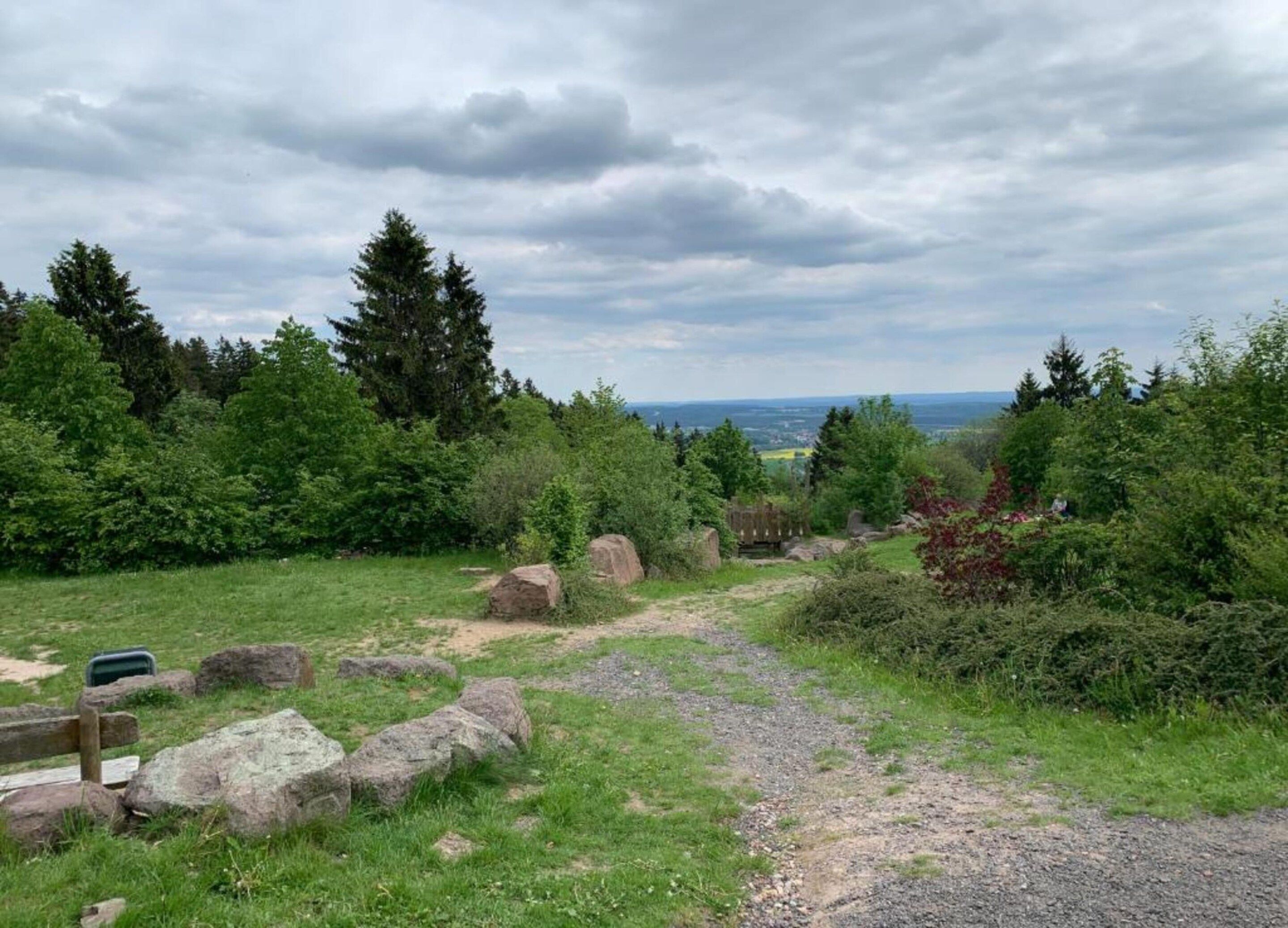 A natural landscape with a dirt path, rocks, and dense greenery.