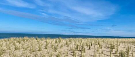 Deluxe Apartment, 2 Bedrooms | View from property