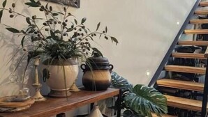 Un escalier avec des marches en bois, une bibliothèque remplie de livres et d’objets décoratifs, et une plante en pot.