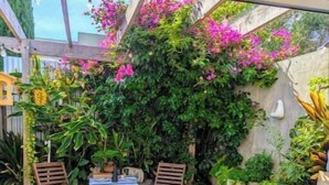 Une terrasse en bois avec deux chaises et une table, entourée de plantes et de fleurs en pot.