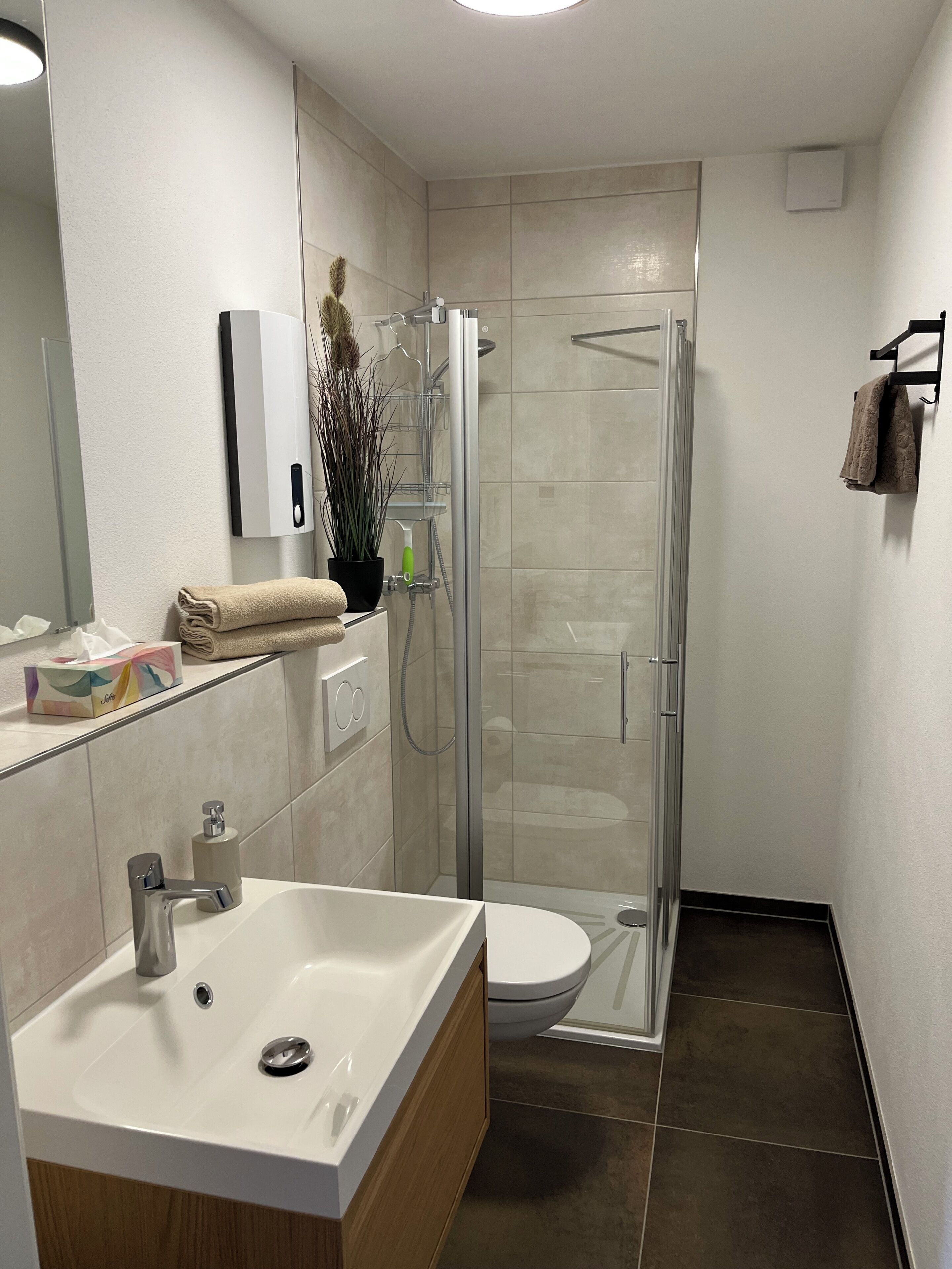 Hair dryer, towels, soap, toilet paper