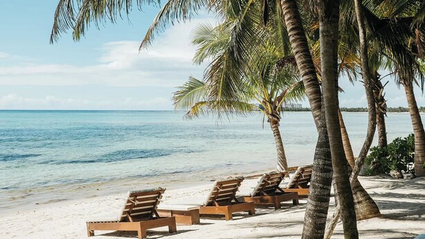 Ein Strand mit Holzliegen und Palmen.