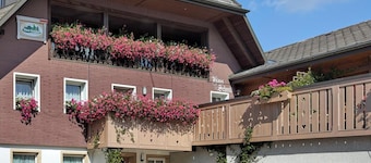 Haus Schmid – Swallow’s Nest / Feldberg View / 2 Bedrooms / 2 Showers