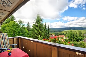 Property grounds - Haus Schmid – Swallow’s Nest / Feldberg View / 2 Bedrooms / 2 Showers (Lenzkirch)