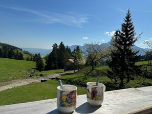 View from property - Apartment Lina, 80 m², 2-4 persons, living room, kitchen, 2 bedrooms, shower/WC, balcony (Staudach-Egerndach)