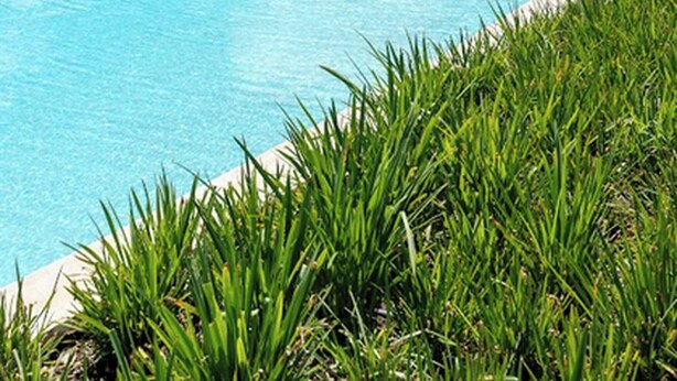A large, clear swimming pool with a covered area, surrounded by lush greenery and modern buildings in the background. - Modern 2Bdrm Apt Lagoon-Style Beach  Downtown (Punta Cana)