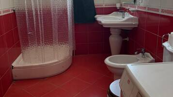 Shower, hair dryer, bidet, towels