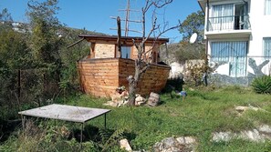 Exterior - Vacation apartment/apartment for 2 guests with 30m² in Balchik (311139) (Balchik)