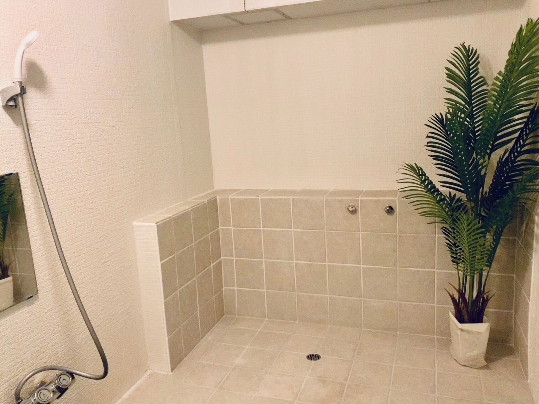 Hair dryer, towels
