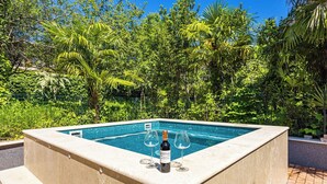 A square pool with a wine bottle and glasses on the edge, surrounded by lush greenery. - App Nia - Villa Accione (Opatija)