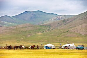 Miscellaneous - Mongolian Vision Tours (Ulaanbaatar)