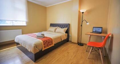 Mongolian Vision Tours