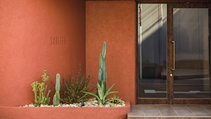 A cactus garden with a wooden ceiling and a glass door. - SABLIER by R HOTEL (Osaka)