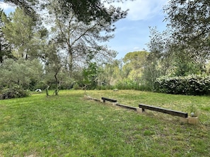 Un espacio al aire libre con césped, árboles y un banco de madera.