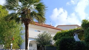 A stone wall, a palm tree, and a building with a red roof. - Panoramic sea view apartment in Rab (Palit)