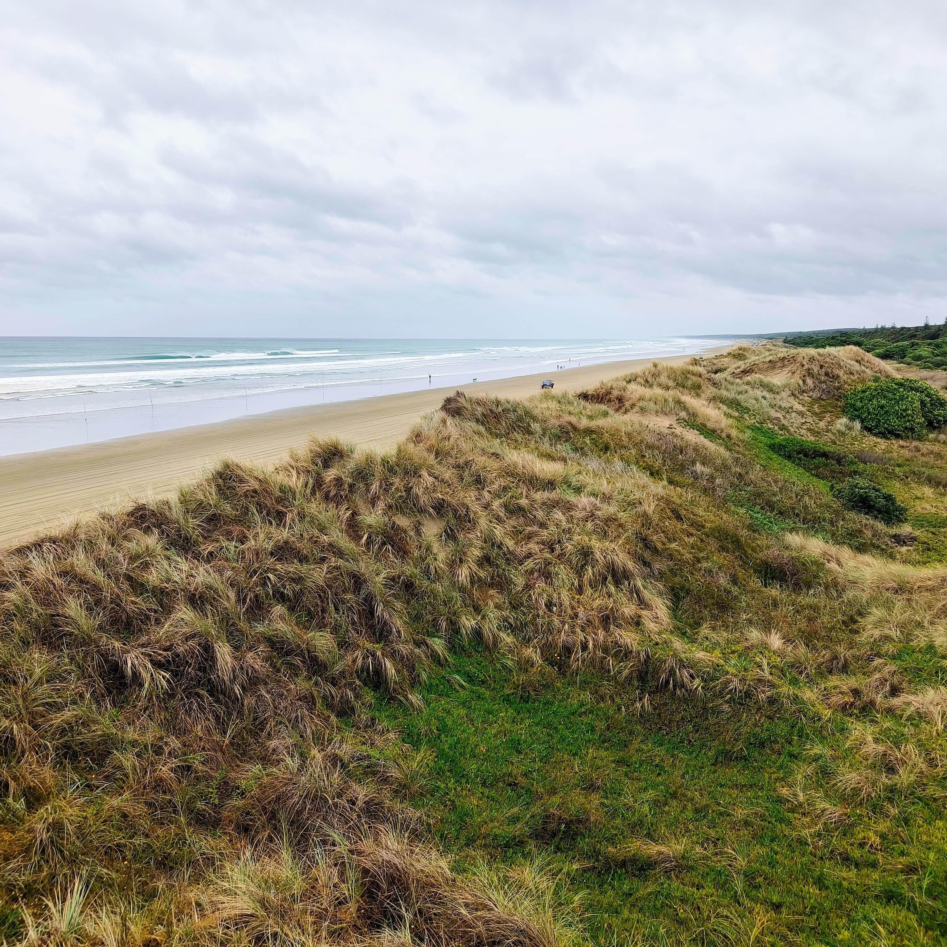 A beach with dunes and a view of the ocean.