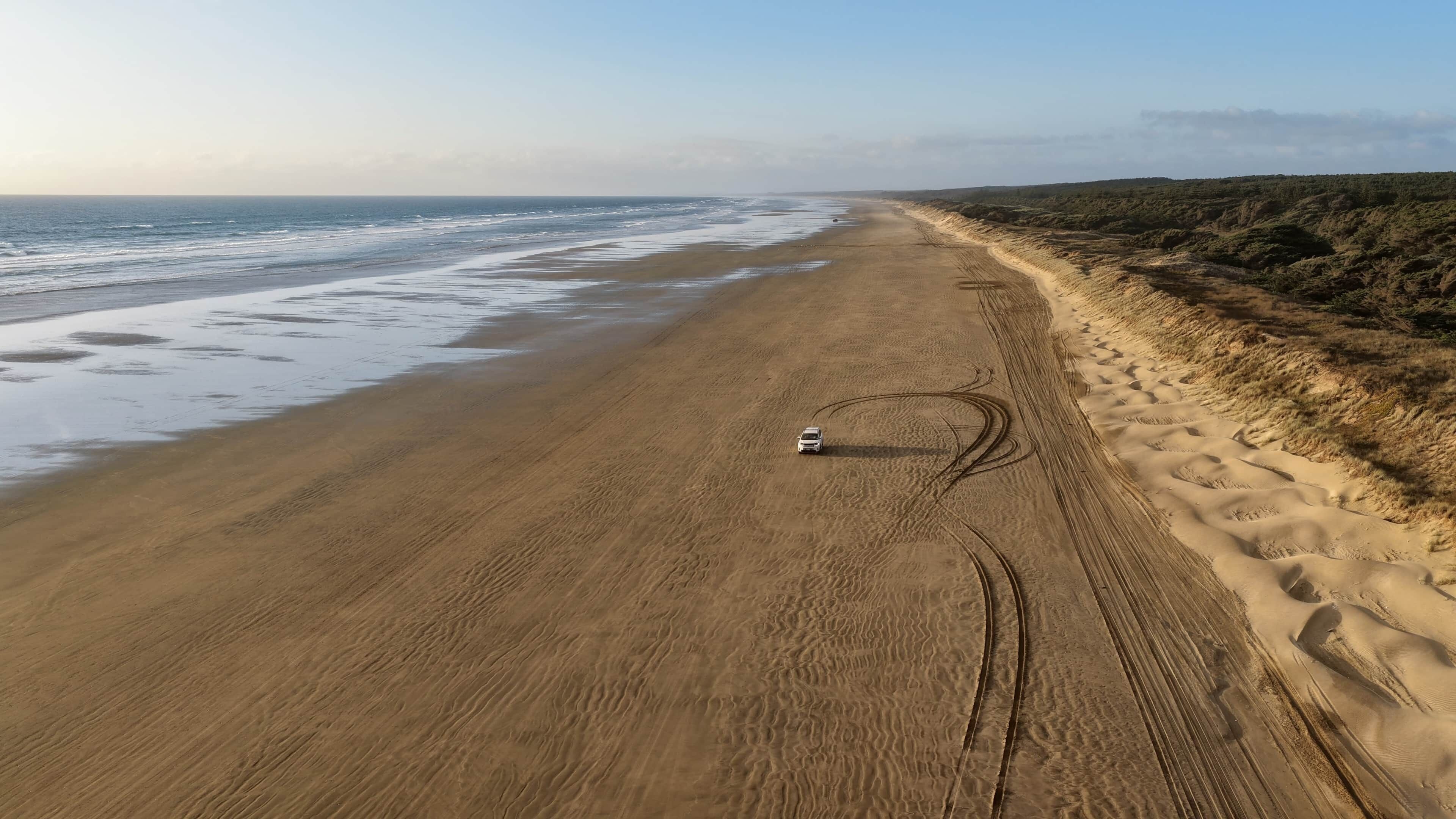 An aerial view of a beach with a vehicle on the sand and tire tracks.