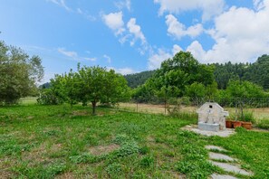 Property grounds - Aelia Maisonette by RentalsPro - Fourka Halkidiki (Fourka)