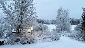 A snow-covered landscape with trees and a street lamp. - Old School Lodge Tahko Beach House (Kuopio)