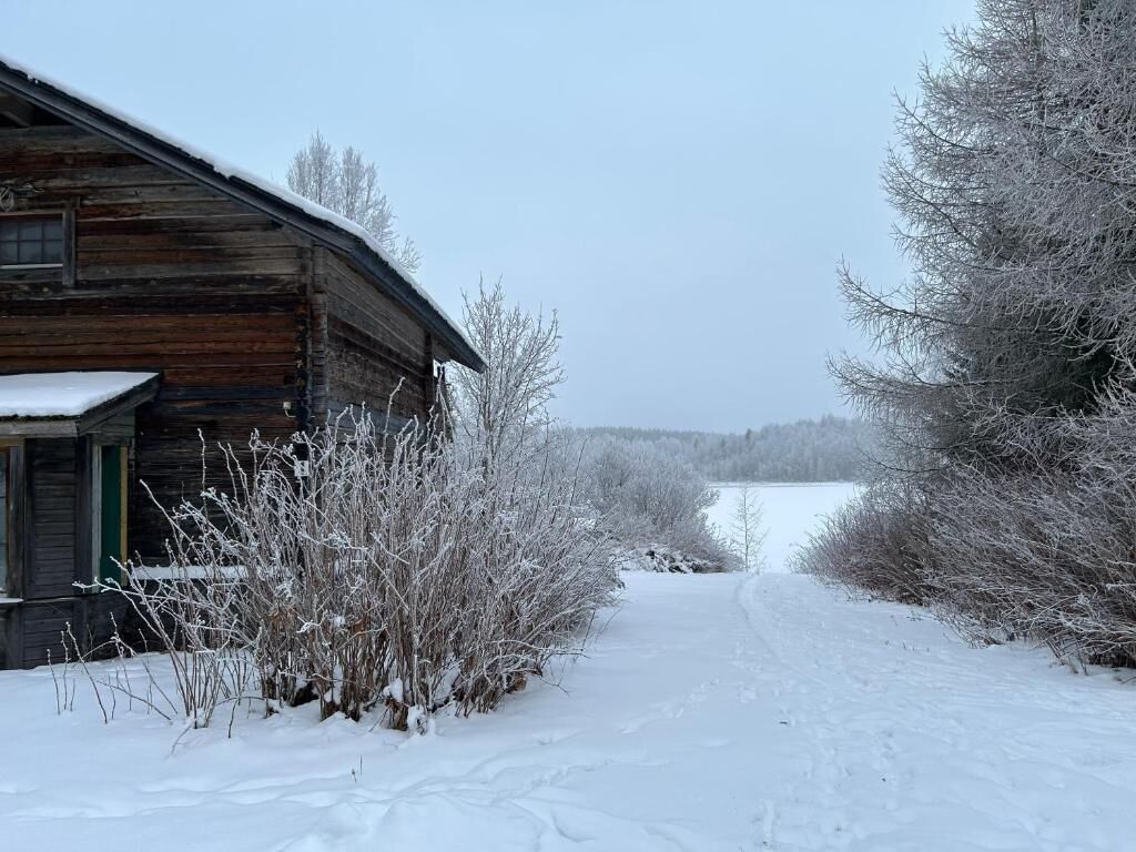 Una cabaña de madera con un sendero cubierto de nieve que lleva a ella, rodeada de árboles desprovistos de hojas y un lago congelado al fondo.