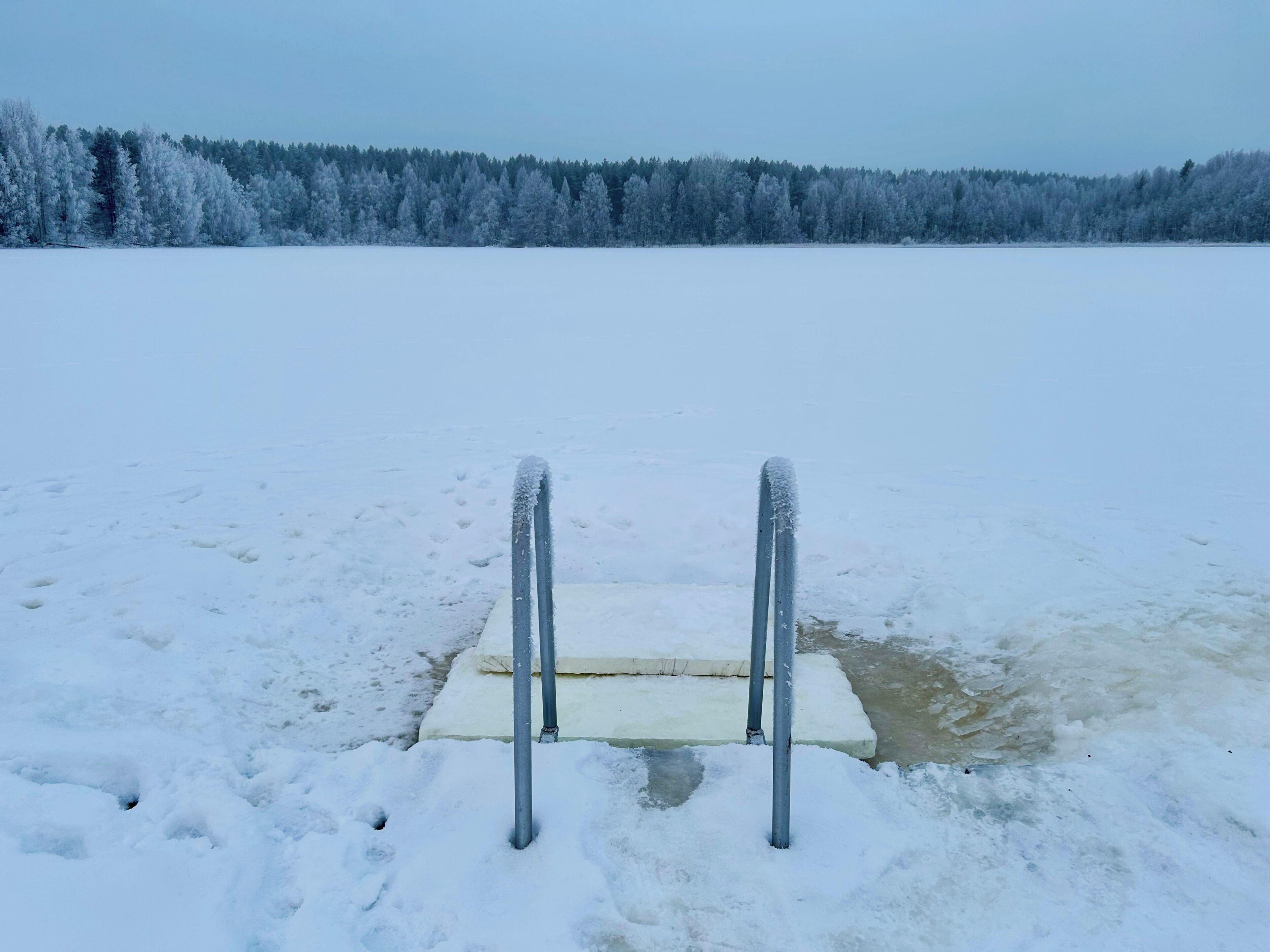 Zona exterior cubierta de nieve con una escalera de metal y una plataforma de hormigón.