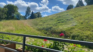 Ein grasbewachsener Hang mit blauem Himmel und einer Metallreling im Vordergrund.